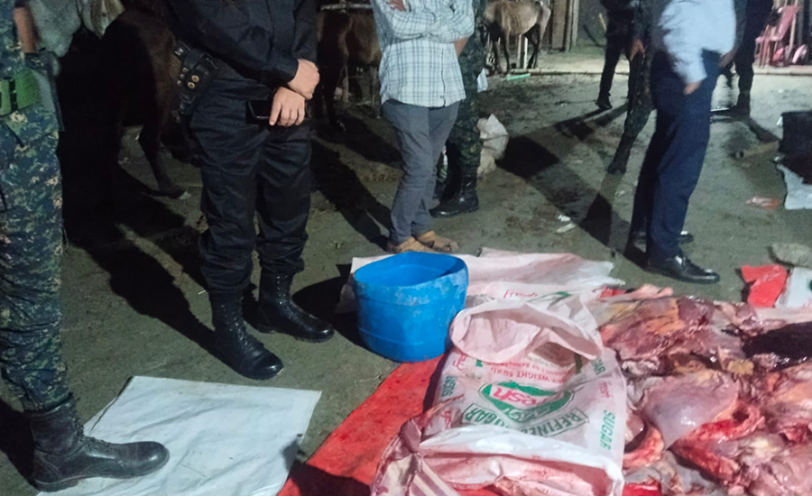 গাজীপুরে গোপনে রাতে ঘোড়ার মাংস বিক্রি, অভিযানে ৩৭ ঘোড়া ও ৫মন মাংস জব্দ