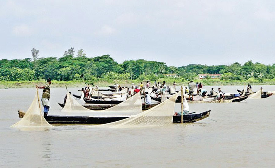 হালদা নদীকে 'মৎস্য হেরিটেজ এলাকা' ঘোষণা, ঐতিহাসিক সিদ্ধান্ত বলছেন বিশেষজ্ঞরা