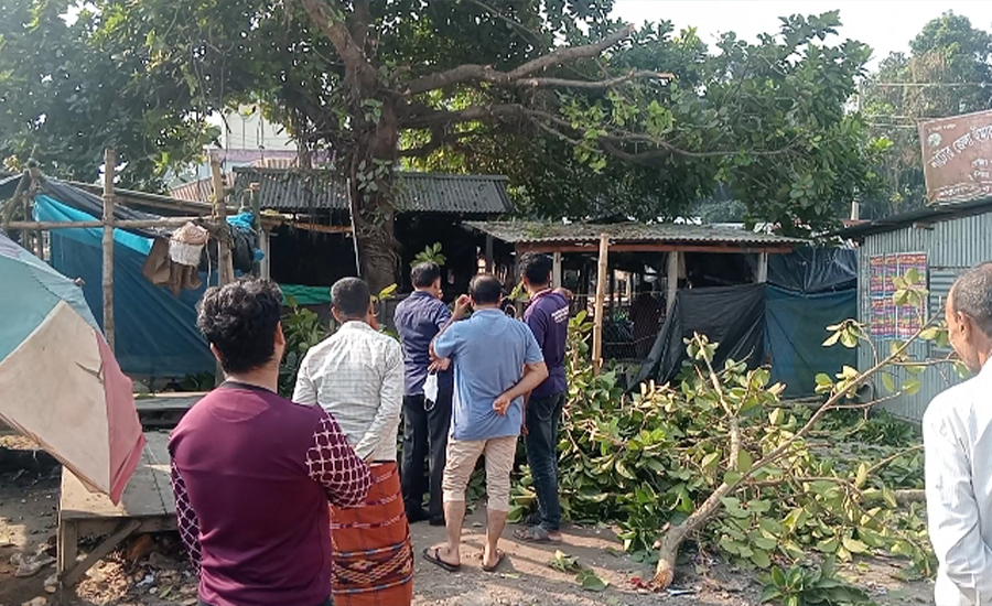 নাটোরের নলডাঙ্গায় সরকারি গাছ কাটার অভিযোগ