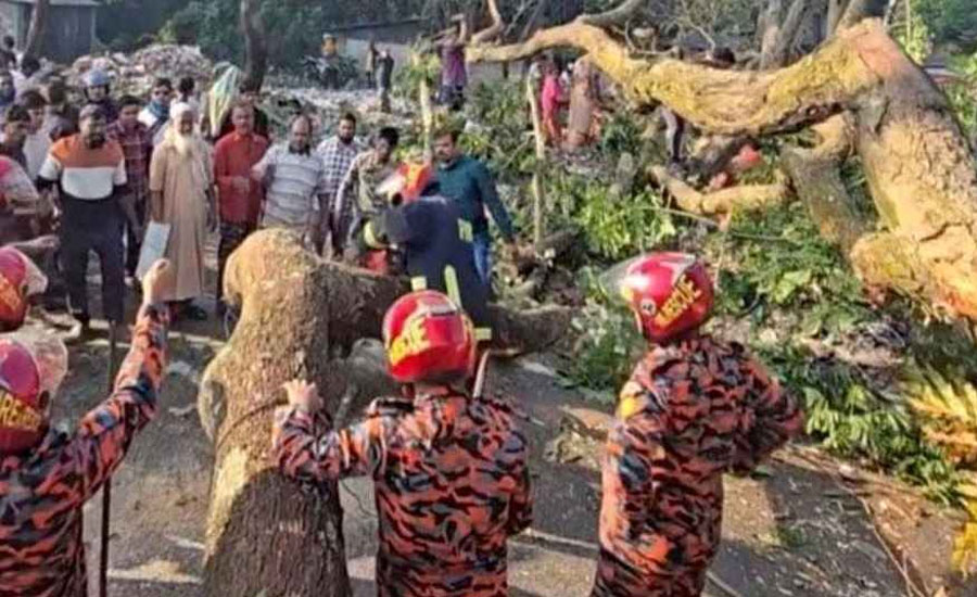 ঢাকা-বরিশাল মহাসড়কে গাছ ফেলে অবরোধ