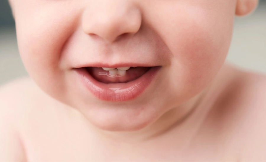 মানুষের কেন দুবার দাঁত ওঠে