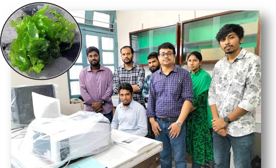 শৈবাল থেকে রঞ্জক, অ্যাগার ও সেলুলোজ উৎপাদনে সফলতা