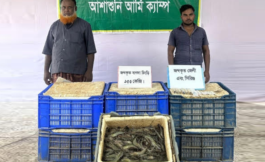 আশাশুনিতে সেনাবাহিনীর অভিযানে ১০০ কেজি পুশকৃত বাগদা চিংড়ি জব্দ