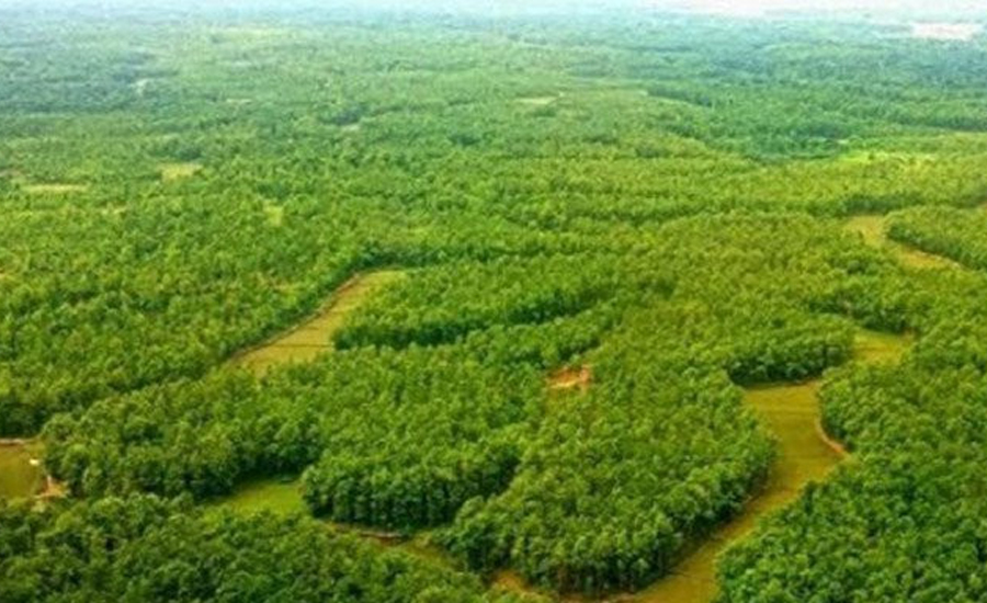 আলোচনায় মধুপুর ফল্ট, ভূমিকম্পে কোটি মানুষের প্রাণহানির শঙ্কা