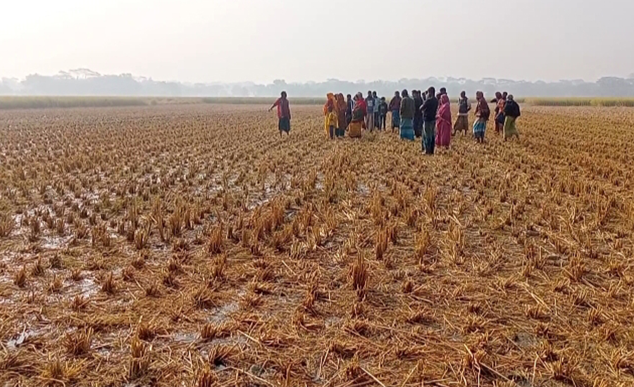 গলাচিপায় তরমুজ চাড়া ও ক্ষেতে পানি দিয়ে লাখ লাখ টাকার ক্ষতি সাধনের অভিযোগ 
