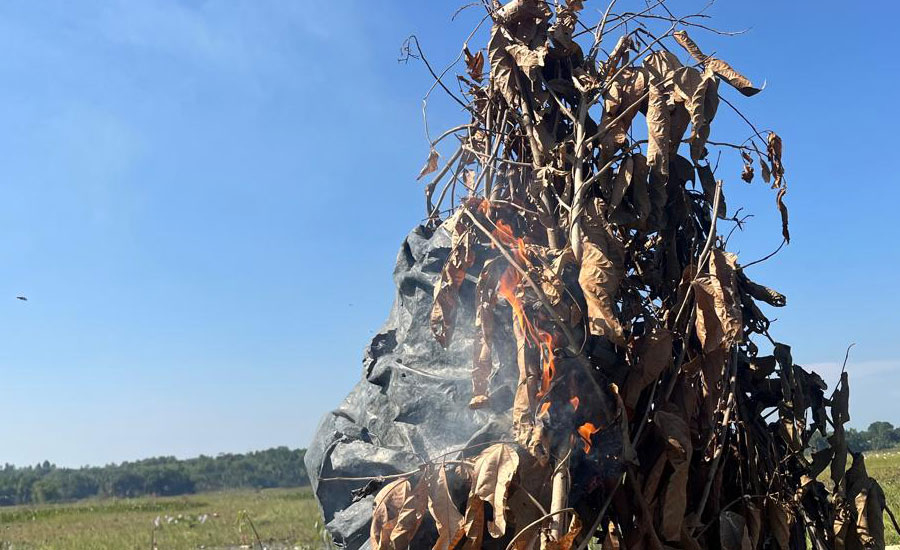 উখিয়ায় কৃত্রিম বক ও জাল জব্দ: জীবিত পাখি উদ্ধার করে অবমুক্ত