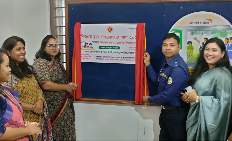 ভাণ্ডারিয়া উপজেলাকে শিশুশ্রম মুক্ত ঘোষণা