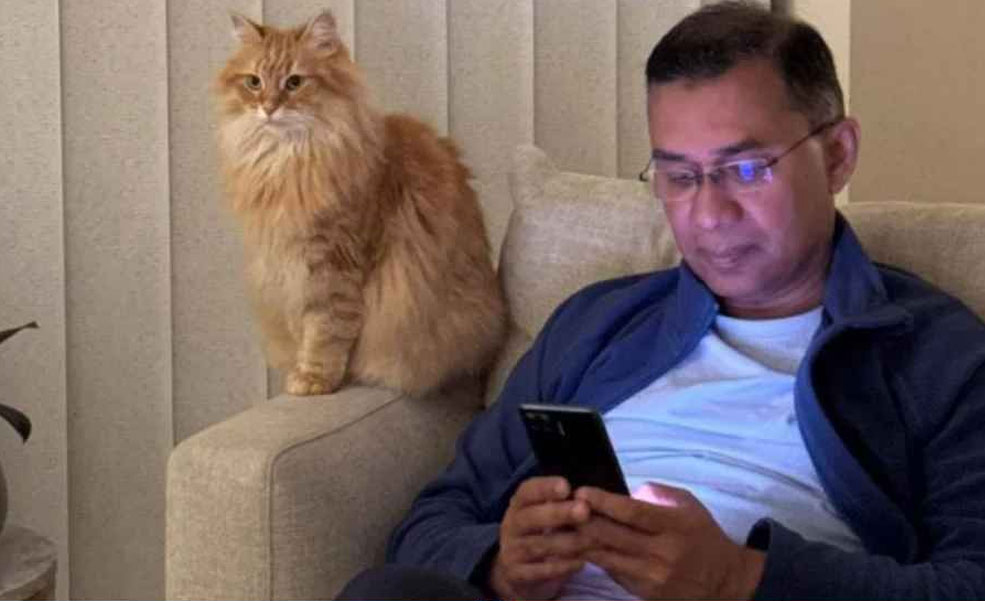 তারেক রহমানের সঙ্গে দেশে এল জেবু