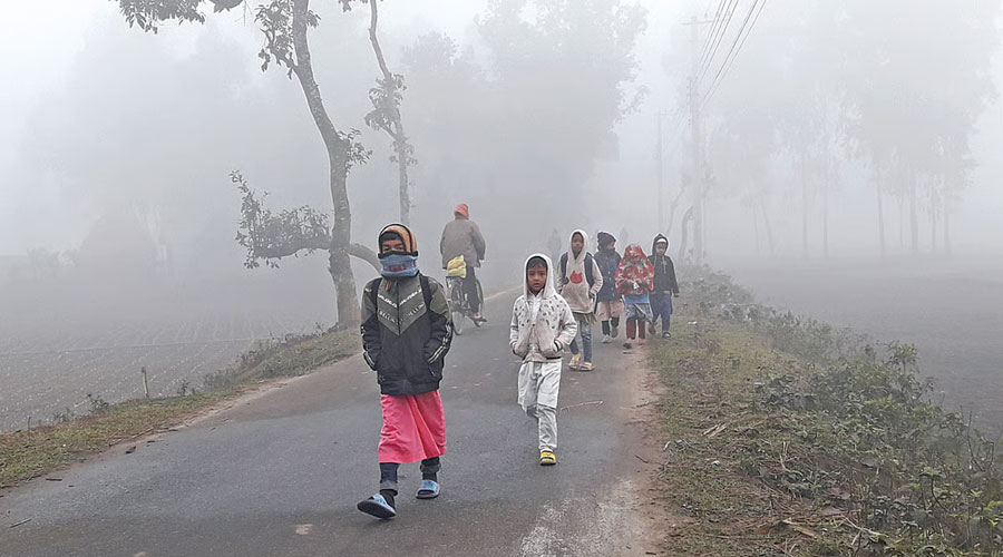 জানুয়ারিতে তীব্র শীতের আভাস, আসছে ৫ শৈত্যপ্রবাহ
