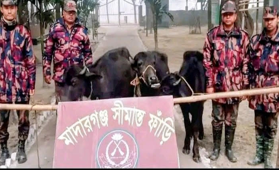 কুড়িগ্রাম সীমান্তে ২৯ লাখ টাকার চোরাচালানি পণ্যসহ গরু-মহিষ ও মাদক জব্দ