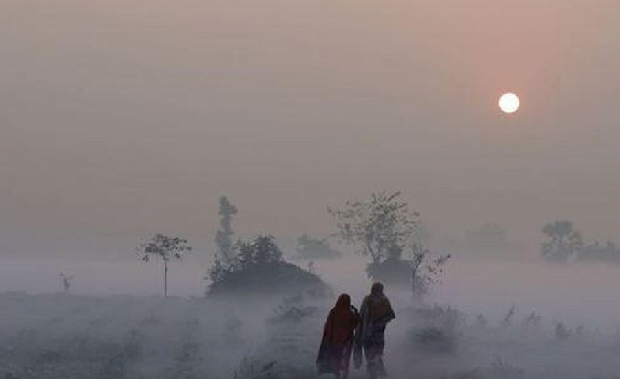 কুয়াশা কী, কেন হয়? কুয়াশা পড়লে ঠান্ডা বাড়ে নাকি কমে?
