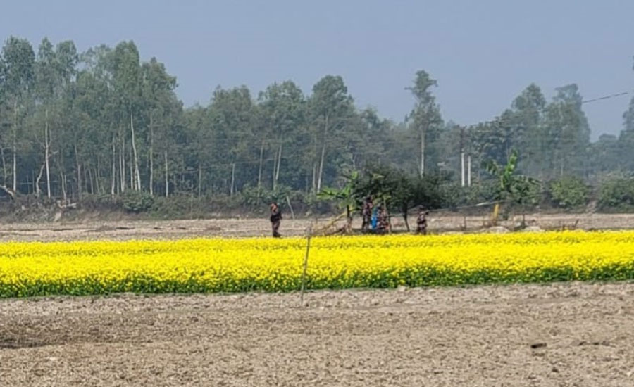 ফুলবাড়ী সীমান্তে সড়ক নির্মাণ নিয়ে উত্তেজনা