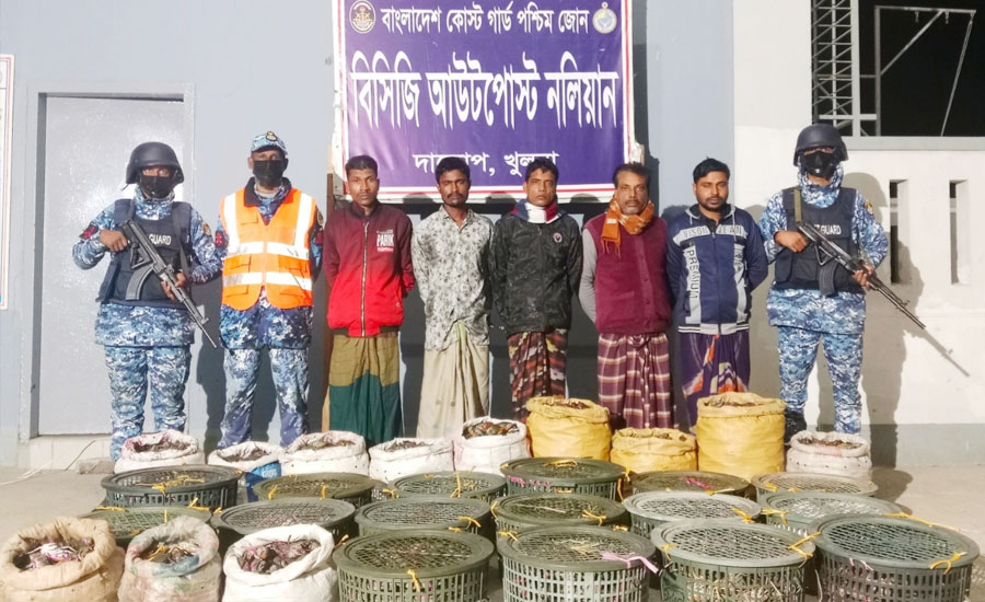 সুন্দরবন থেকে ৪৯০ কেজি অবৈধ কাঁকড়াসহ ৫ ব্যবসায়ী আটক
