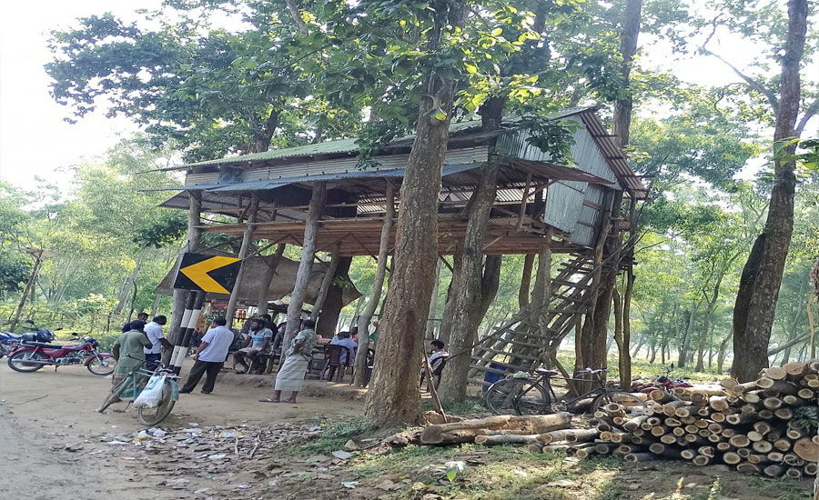 শেরপুরের গারো পাহাড়ে তীব্র শীত, জনজীবন বিপর্যস্ত