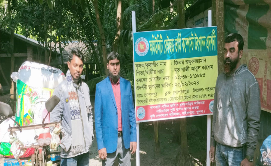 পাইকগাছায় ব্যবহার বেড়েছে ভার্মি কম্পোস্ট: বাড়তি আয় উদ্দোক্তা শুকুরুজ্জামানের