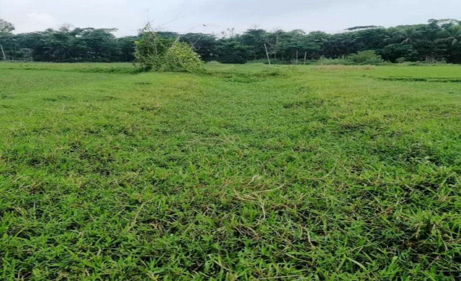 দীর্ঘ ৪৫ বছর পর রামগঞ্জের পরিত্যক্ত দুই খাল সংস্কারের উদ্যোগ