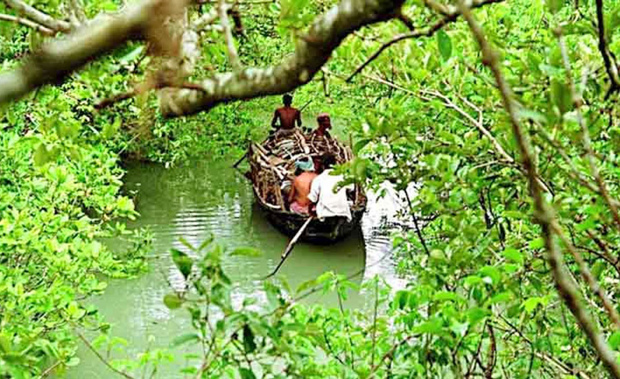 সুন্দরবন সাতক্ষীরা রেঞ্জ থেকে ২০ জেলেকে অপহরণ করেছে বনদস্যু ডন বাহিনী