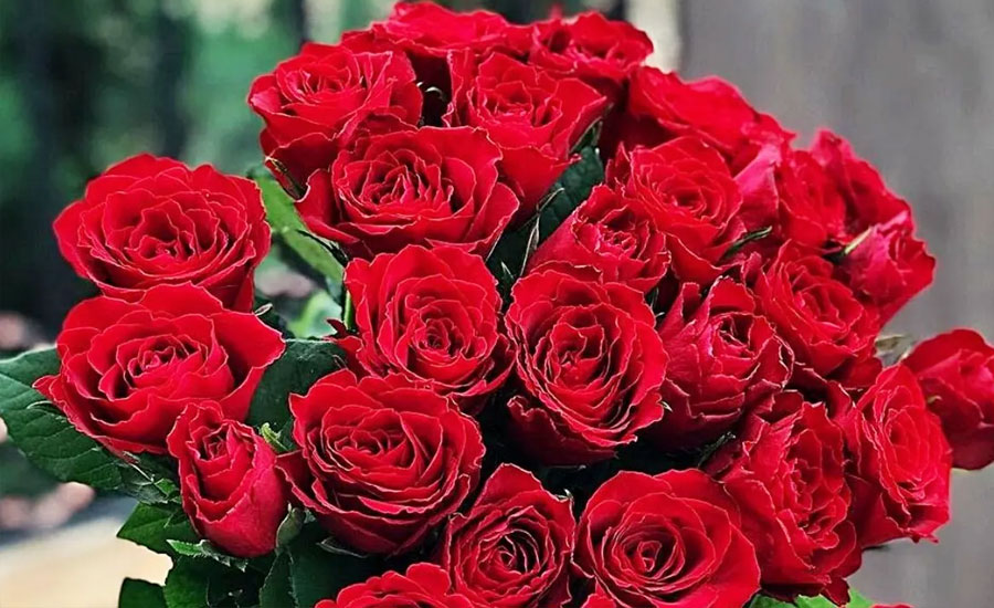 ভালোবাসা দিবসে গাজীপুরসহ সারাদেশে ফুলের বাজারে রঙিন ব্যস্ততা, বিক্রি বেড়েছে কয়েকগুণ