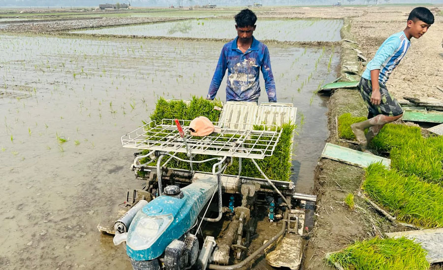 রাণীশংকৈলে কৃষকের হৃদয়ে জায়গা নিচ্ছে রাইসট্রান্সপ্লান্টার