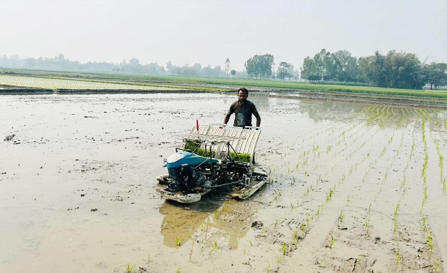 রাণীশংকৈলে কৃষকের হৃদয়ে জায়গা নিচ্ছে রাইসট্রান্সপ্লান্টার