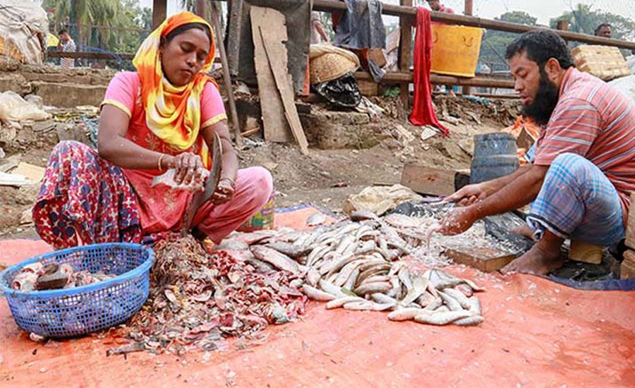 মাছ কাটা যাদের পেশা