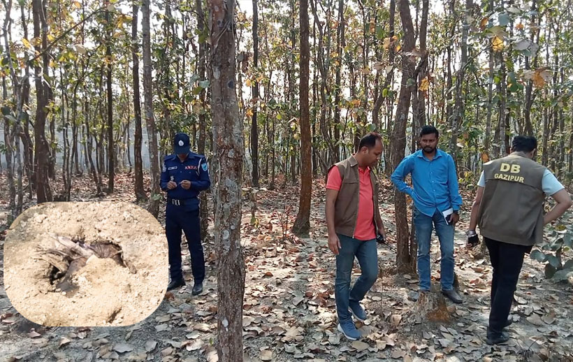 টিকটক ভিডিও করতে গিয়ে শালবনে মিলল অর্ধগলিত লাশ, গাজীপুরে চাঞ্চল্য
