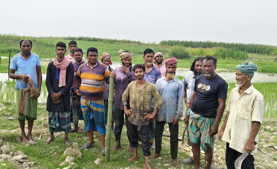 আলফাডাঙ্গায় দূর্গম চরে শিক্ষার্থীদের যাতায়াতে বাঁশের সাঁকো নির্মাণ;ইউপি সদস্য আবুল বাসারের মহতি উদ্যোগ