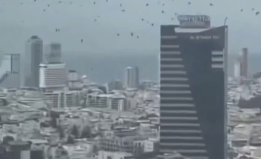 তেল আবিবের আকাশে হাজারো কাক, বাইবেলে বলা ‘সর্বনাশের বার্তা’ এসেই গেল?