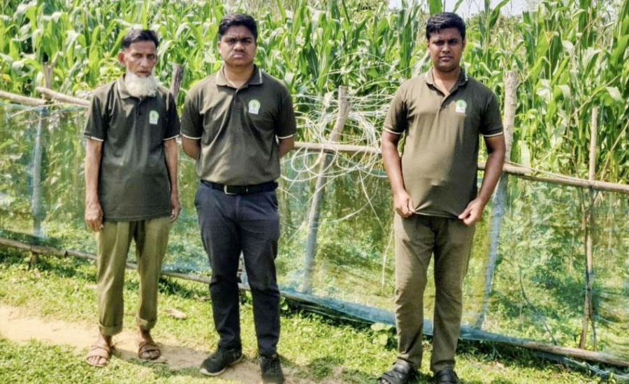 ঝিনাইগাতী হাতির ভয়ে অবৈধ  বিদ্যুৎ  এর ফাঁদ,বন বিভাগের অভিযানে বন্ধ