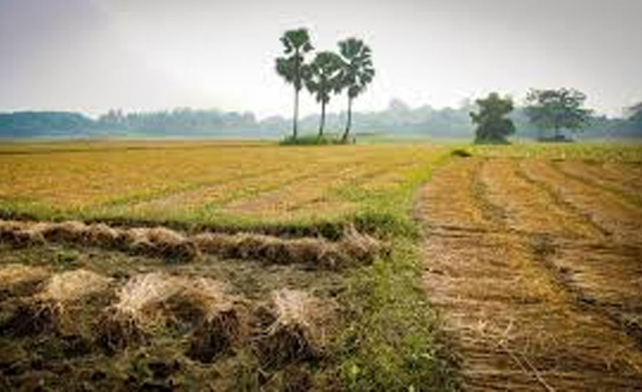 কুড়িগ্রামের নাগেশ্বরীতে জমিজমা নিয়ে বিরোধ নারী নির্যাতন সহ প্রাণনাশের হুমকিতে থানায় অভিযোগ