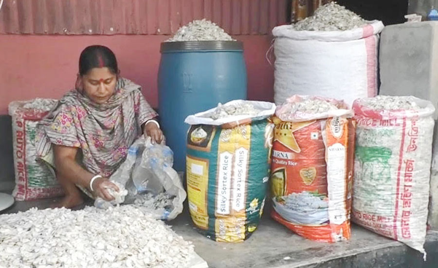 কুড়িগ্রামে মাছের আঁশে নতুন সম্ভাবনা, বিদেশে রপ্তানিতে বাড়ছে আয়
