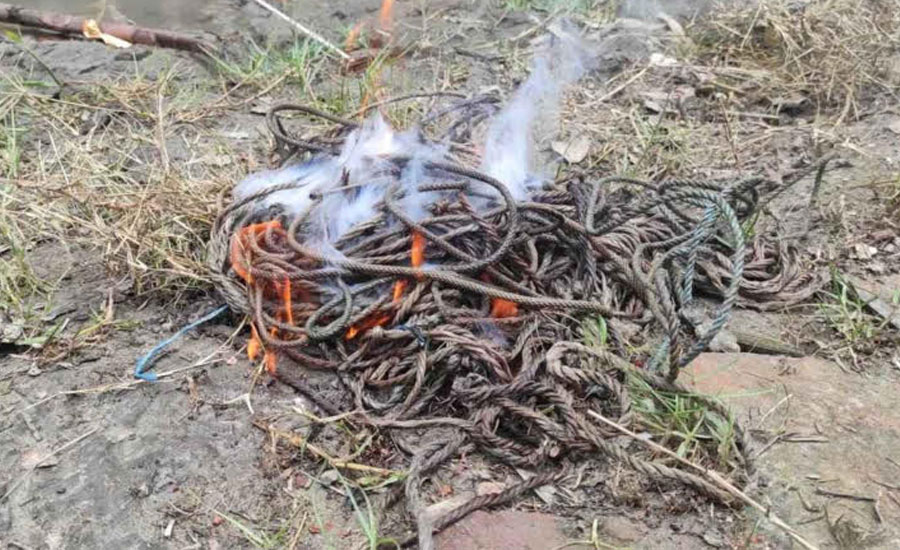 সুন্দরবনে বনবিভাগের অভিযানে ২৫টি হরিণ শিকারের ফাঁদ উদ্ধার