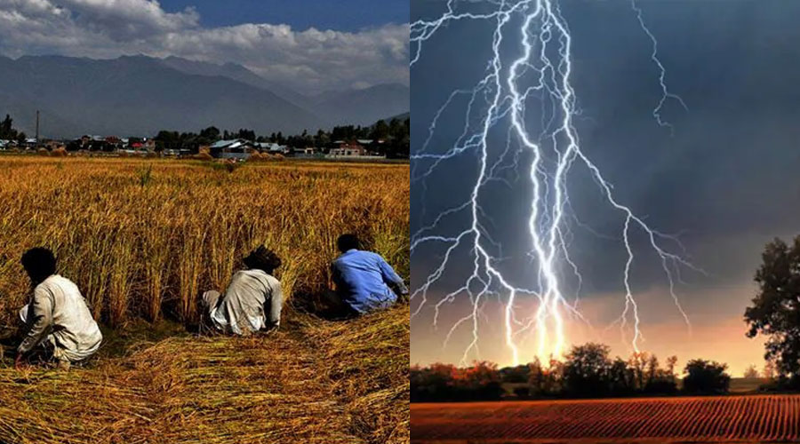 সুনামগঞ্জে বজ্রপাতে প্রাণ গেল ৫ কৃষকের