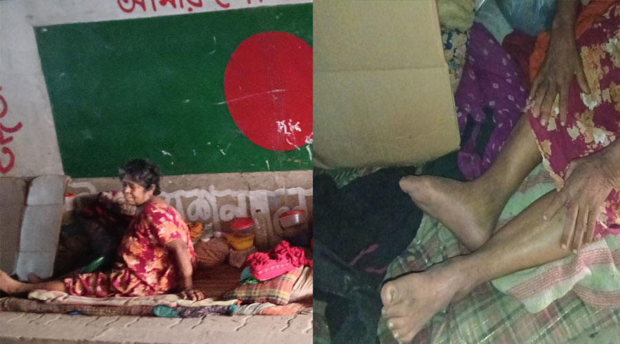 কুকুরকে সঙ্গী করে আন্ডারপাসে বসবাস বৃদ্ধা জেসমিনের, সহায়তার আবেদন