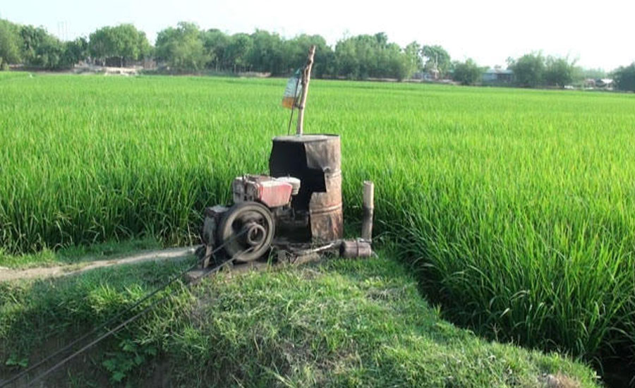 বিদ্যুৎ-তেল সংকটে সেচ পাম্প বন্ধ, ব্যাহত কৃষি উৎপাদন