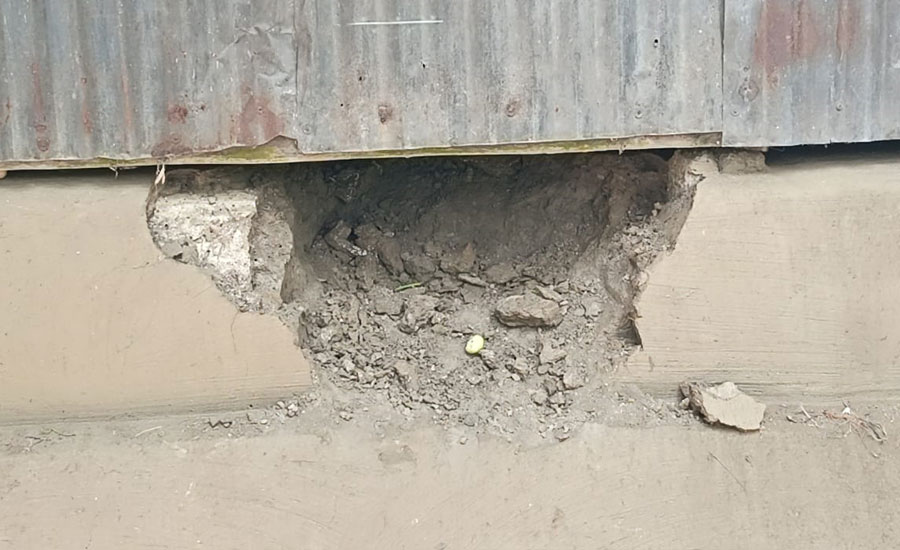 দশমিনায় সিঁধ কেটে স্বপ্ন চুরি,প্রতিবন্ধী তিন সন্তান নিয়ে সংগ্রামী মা হাসিনা বেগমের অসহায় আর্তনাদ