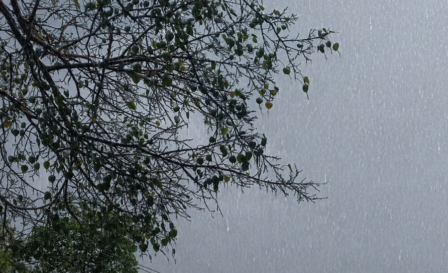 তীব্র গরমে গাজীপুরে স্বস্তির বৃষ্টি