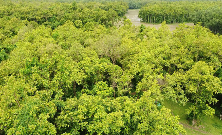 সবুজে ঘেরা কাদিগড় জাতীয় উদ্যান, বনভোজনপ্রেমীদের মিলনমেলা