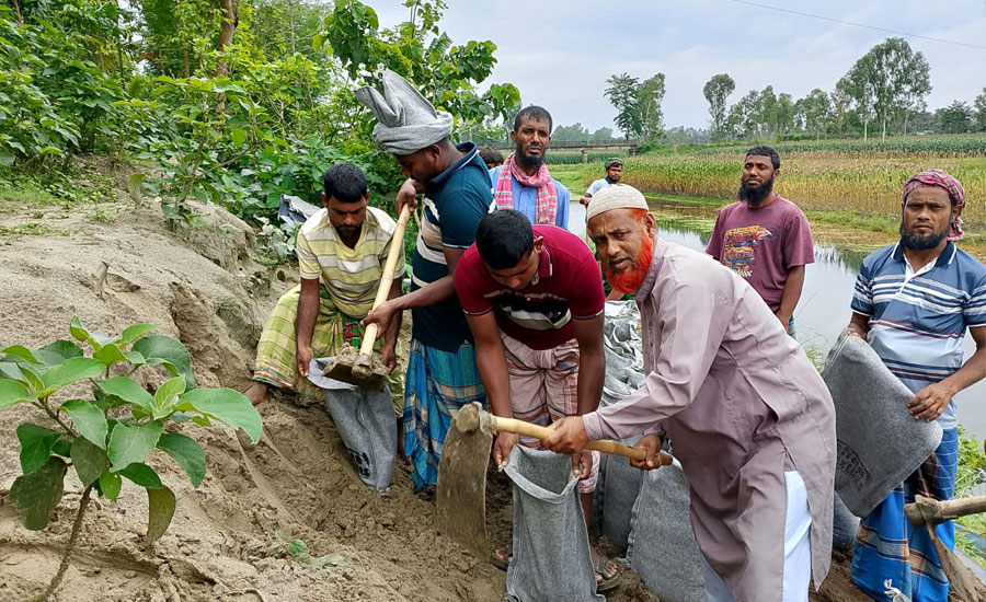 ফুলবাড়ীতে নদী ভাঙন ঠেকাতে বাংলাদেশ জামায়াতে ইসলামীর জরুরি উদ্যোগ
