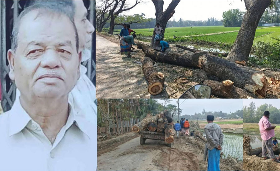 ‎ কবিরহাটে সাবেক ইউপি চেয়ারম্যানের বিরুদ্ধে সড়কের পাশের গাছ কাটার অভিযোগ