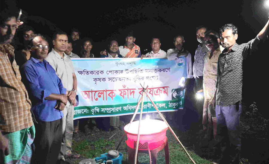 বোরো ফসল রক্ষায় রাণীশংকৈলে আলোক ফাঁদ কার্যক্রমের প্রদর্শন 