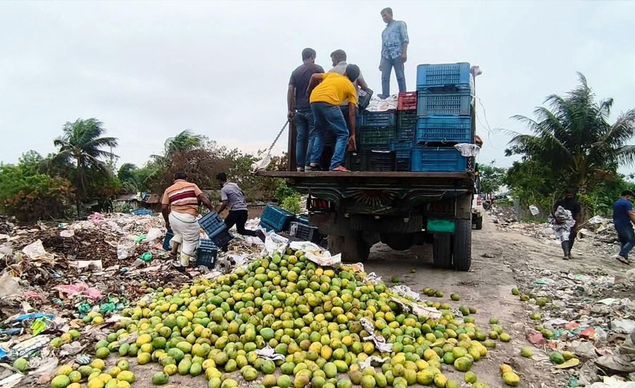 সাতক্ষীরায় কেমিক্যাল মেশানো ৯ হাজার কেজি আম জব্দ, পরে ধ্বংস