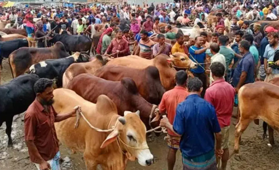 এবার রাজধানীর ২৫ স্থানে বসবে পশুর হাট