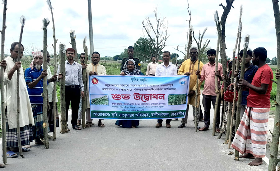 রাস্তার ধারে ও আঙিনায় সজিনা: রাণীশংকৈলে নতুন কর্মসূচি 
