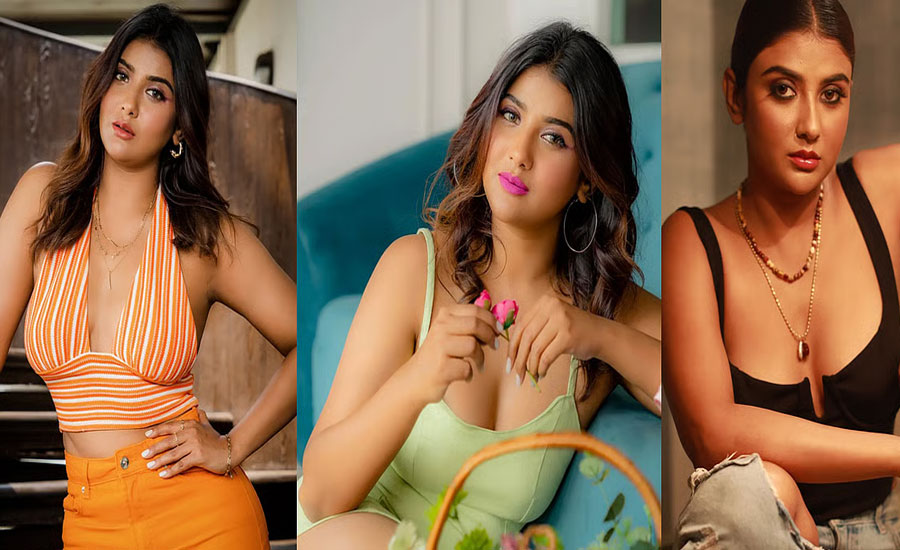 অভিনেত্রী পার্নোর নতুন অধ্যায়