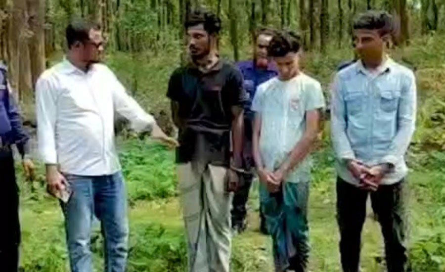 ছাগলের মাংস বিক্রির চেষ্টা: গাজীপুরে দুই যুবকের কারাদণ্ড, কিশোর মুক্ত
