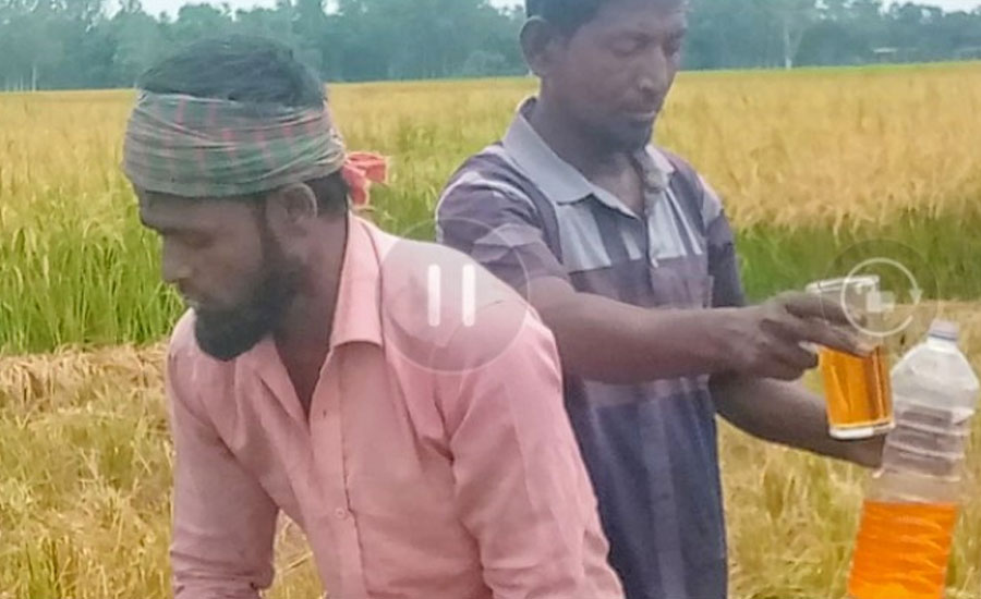 পত্নীতলায় কৃষক ও শ্রমিকদের মাঝে খাবার ও স্যালাইন বিতরণ