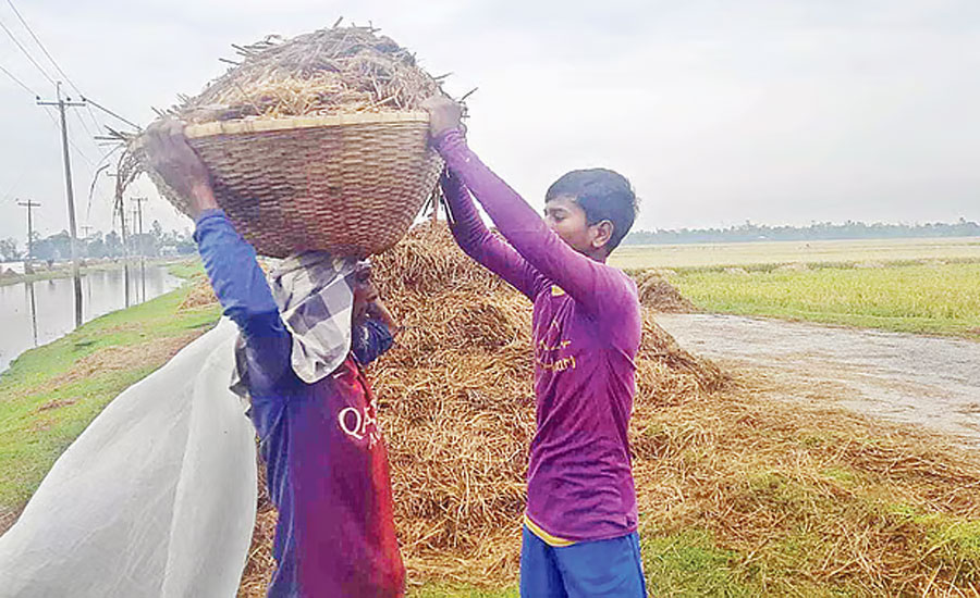 আমরা অখন বাড়িত কিতা লইয়া ফিরতাম?