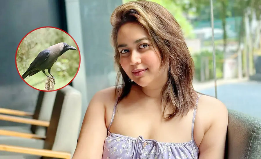 ‘কাকের’ প্রেমে পড়েছেন ভাবনা