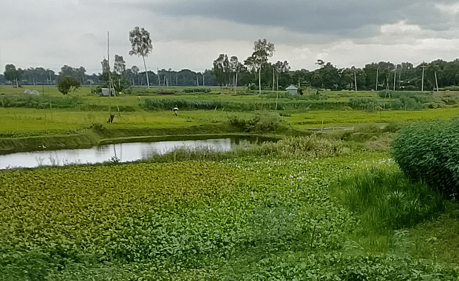 আটিয়ার লৌহজং নদী এখন মরা খাল, পুনঃখননের দাবিতে এলাকাবাসী
